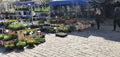 Kinders Garden