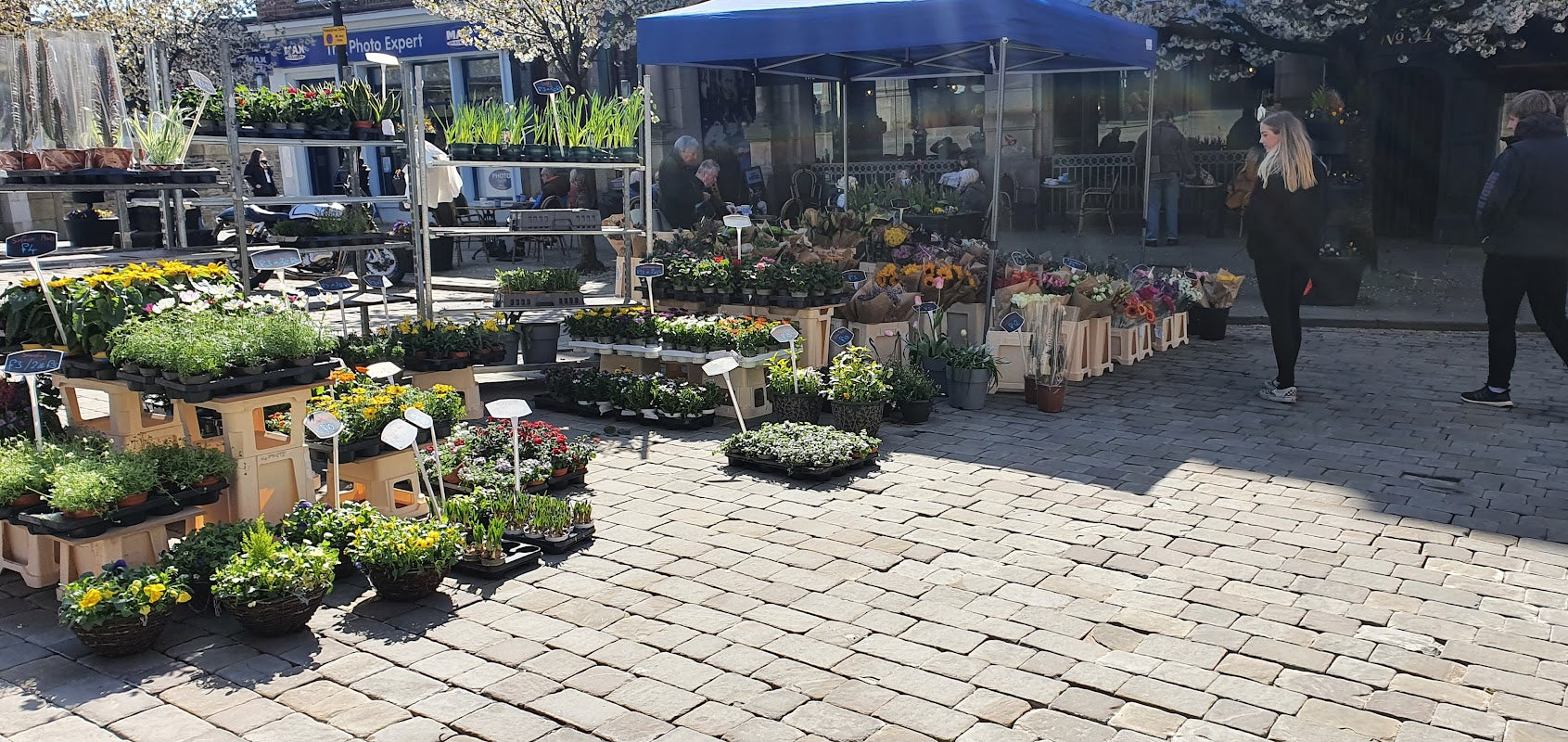 Kinders Garden