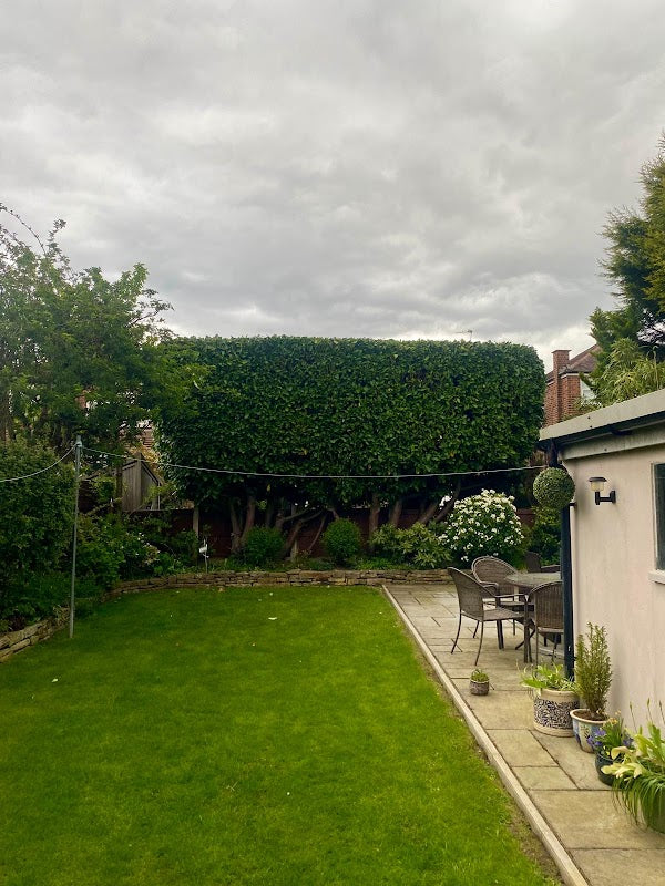 Tree Cut - Tree Surgery Manchester