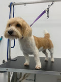 The Dog Grooming Hub