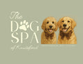 The Dog Spa Of Knutsford
