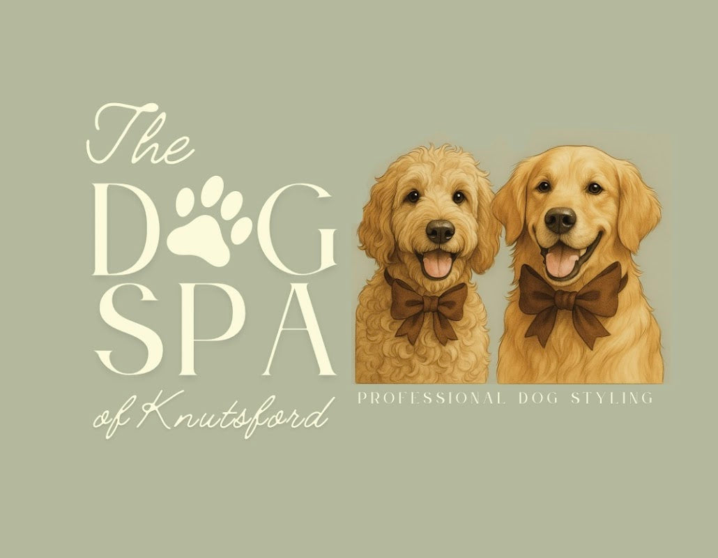The Dog Spa Of Knutsford