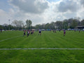Wilmslow Rugby Union Football Club