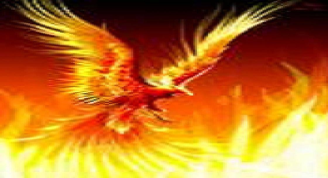 Phoenix Accounts