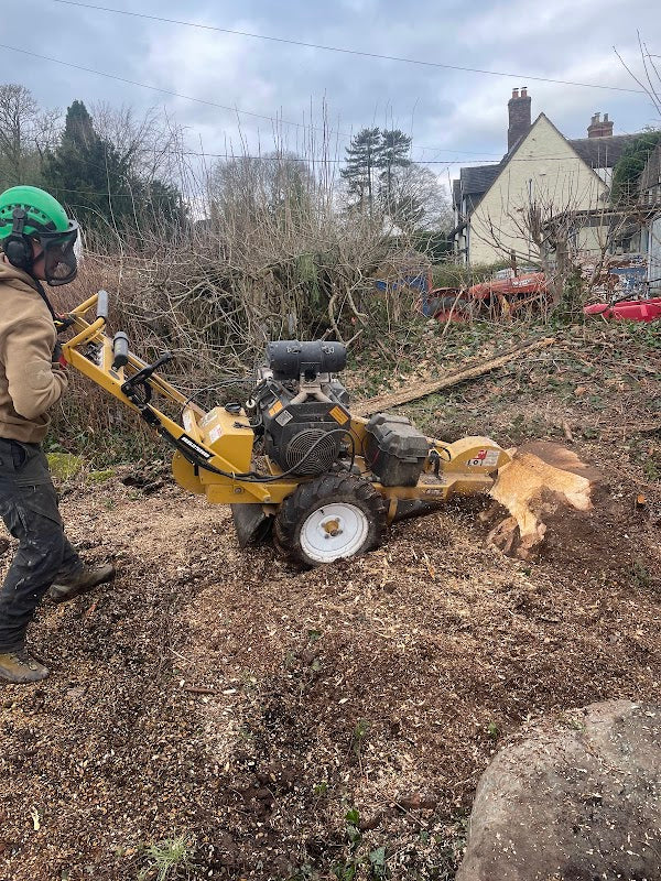 EJ Tree Surgery