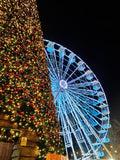 Sky high observation wheel