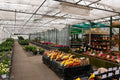 Marbury Hall Nurseries