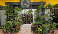Plant Paradise By Gemma