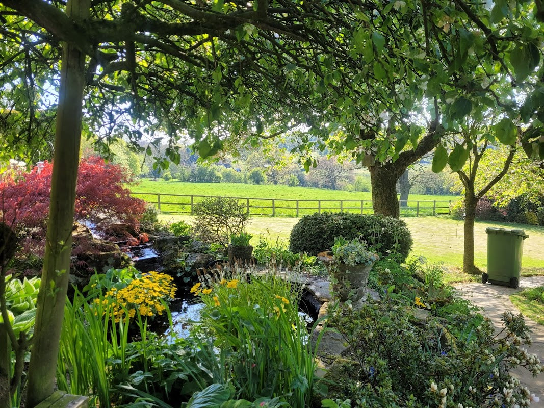Willows Garden Care