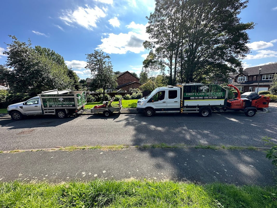 first class tree care