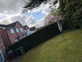 j.a.y garden maintenance and landscaping