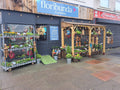Floribunda Flowers Manchester
