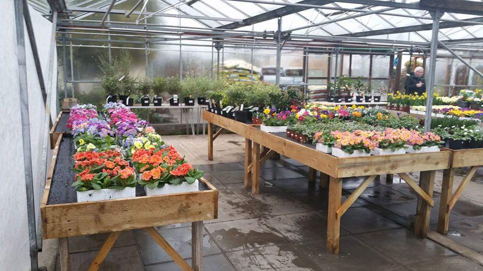 Morley Nurseries