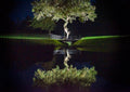 sensortivity photography