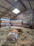 Home Farm of Tatton Park