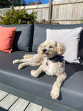 Mobberley Dog Spa