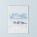 Johnsons Calendars