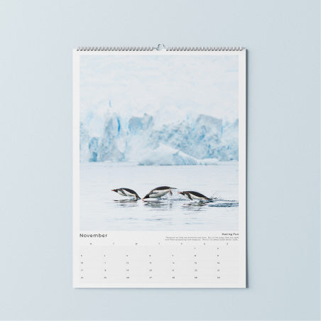 Johnsons Calendars