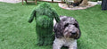 Doodle's dog grooming
