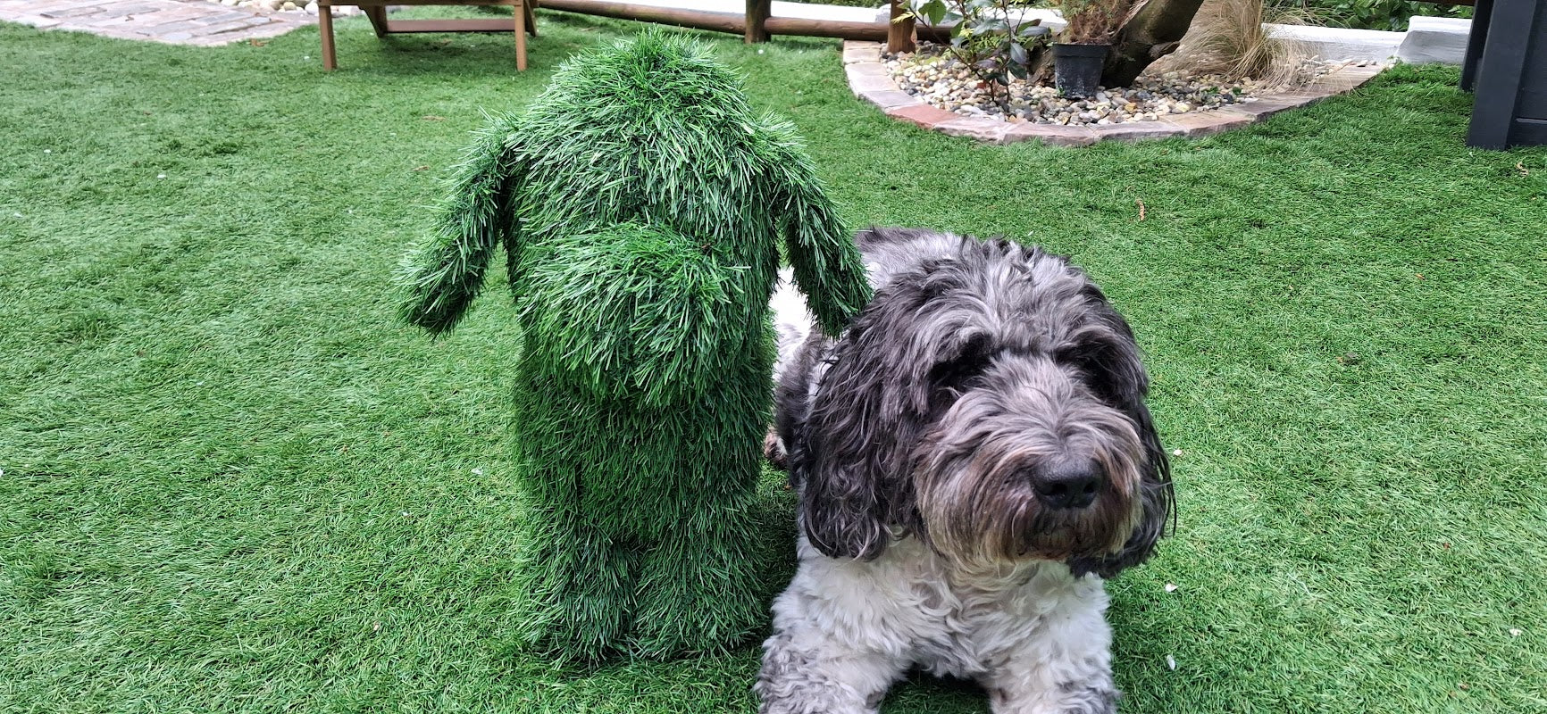 Doodle's dog grooming
