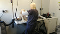 Dog Groomers Nantwich & Shavington