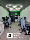 The Shopify Guy