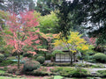 Japanese Garden