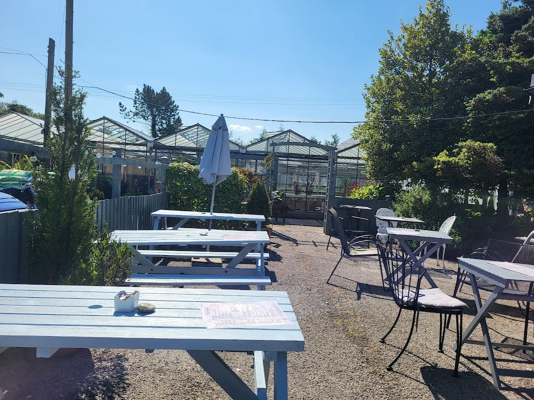 Morley Tea Rooms