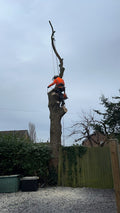 Top Branch Tree Care