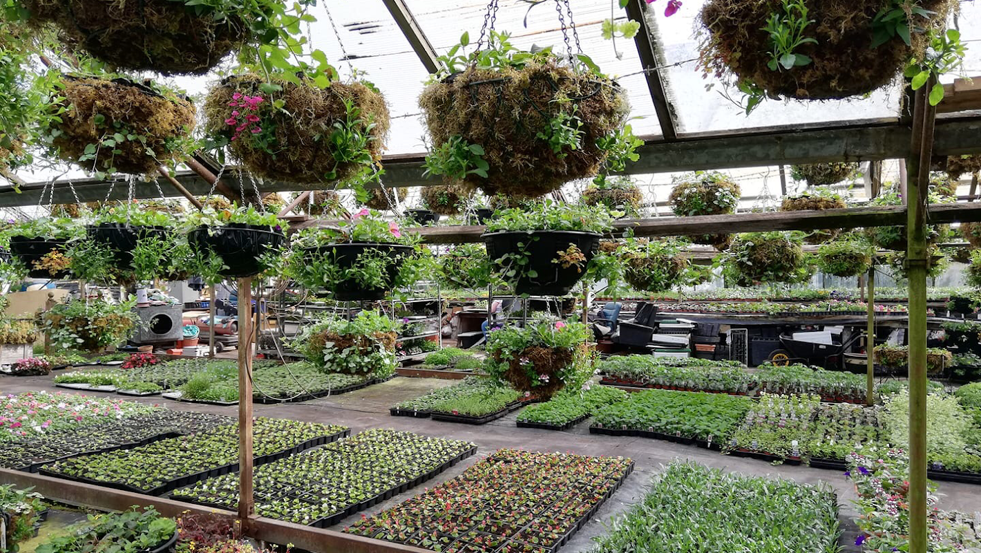 Singleton House Farm and Nursery