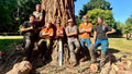 Woodcroft Arboriculture