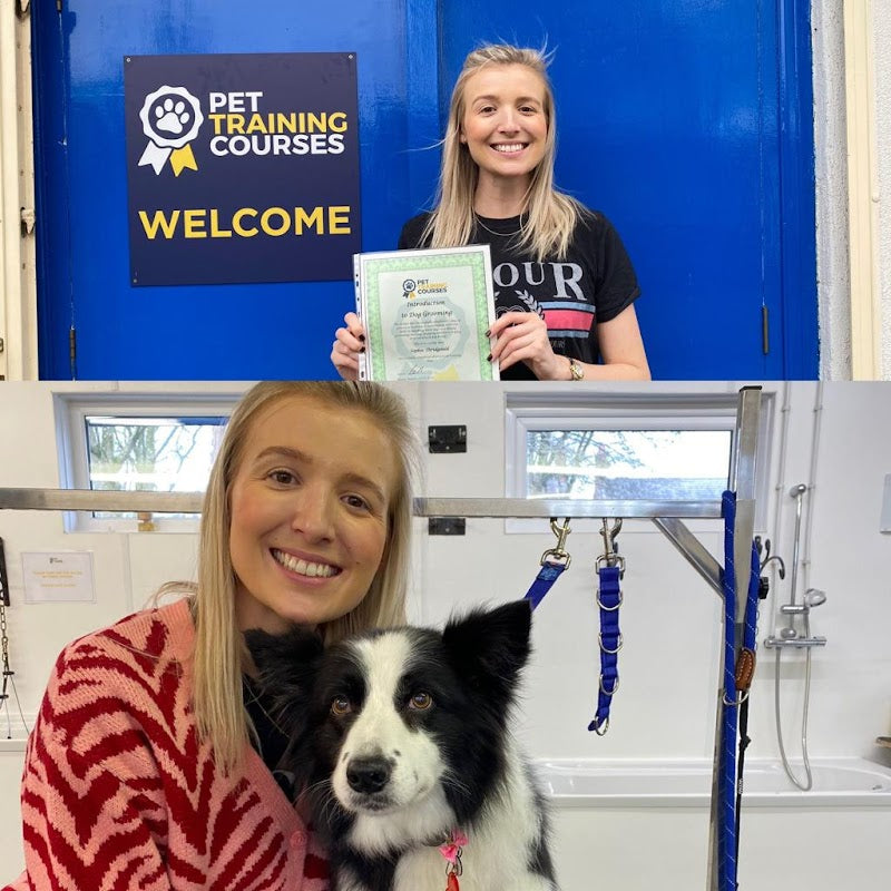 Pet Training Courses