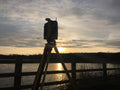 Geomatic Surveys