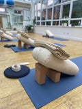 Thrive - Yoga, Qigong & Tai Chi | Functional Breathing Therapy