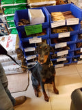 Cheshire Pet Supplies Northwest