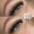 LMBlashes&Beauty