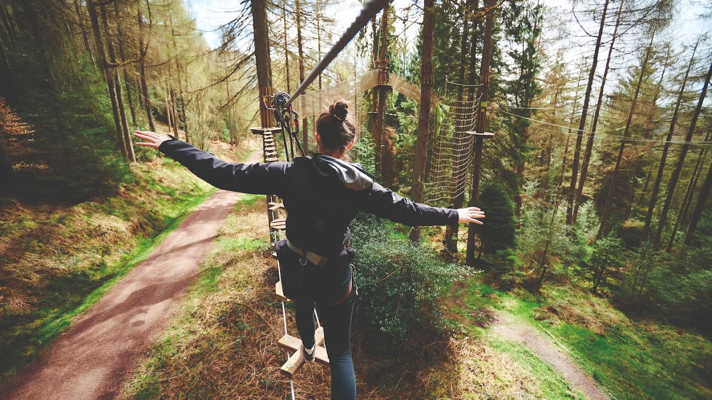 Go Ape Delamere