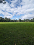 The Carnival Fields