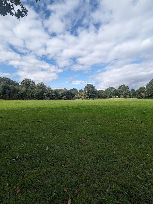 The Carnival Fields