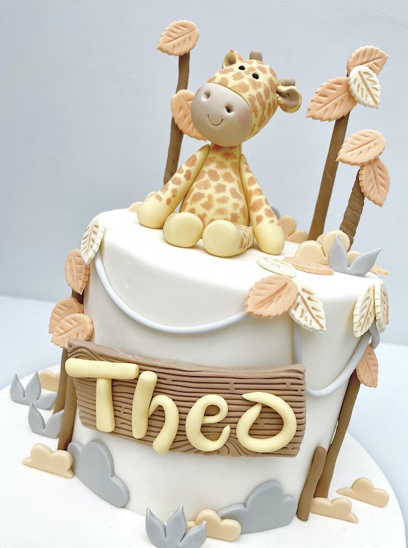 Rachel Hains Cakes