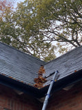 M & D Window Cleaning