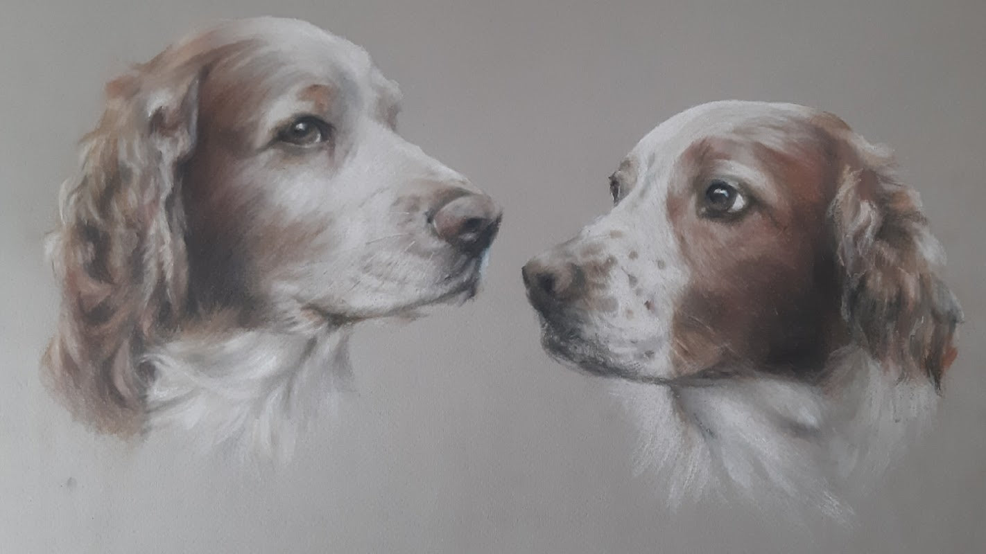 Premium Pet Portraits