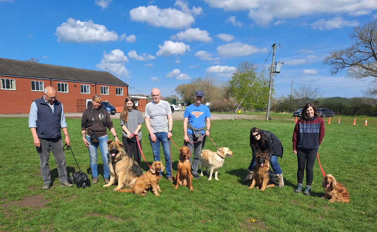The Cheshire Dog Trainer