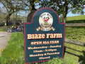 Blaze Farm & The Potty Sheep
