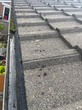 Pro Gutter Cleaning