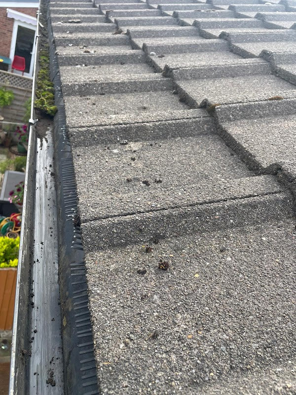 Pro Gutter Cleaning