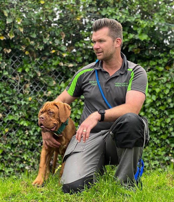 K999 - Dog Behaviourist