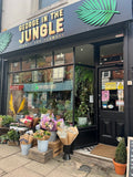 George In The Jungle