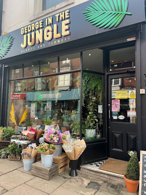 George In The Jungle