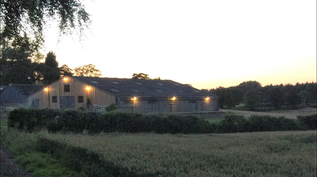 Dove Barn Weddings